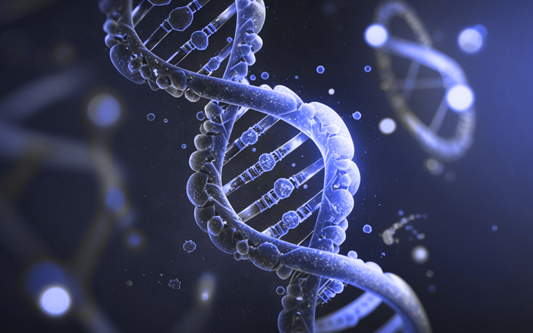 Critical role for glycosphingolipids in Niemann-Pick disease type