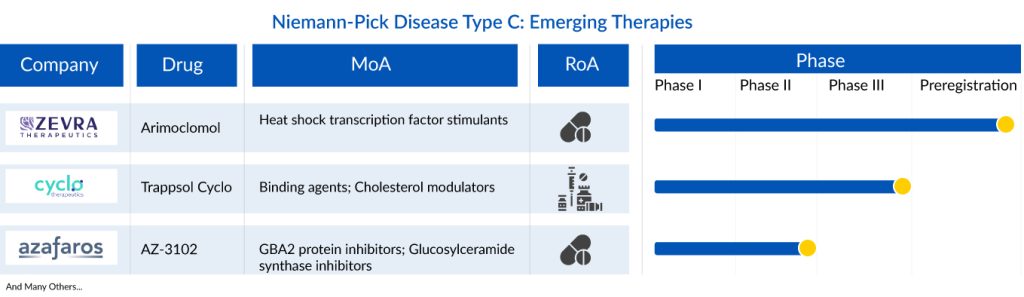 Niemann-Pick Disease Type C Therapies