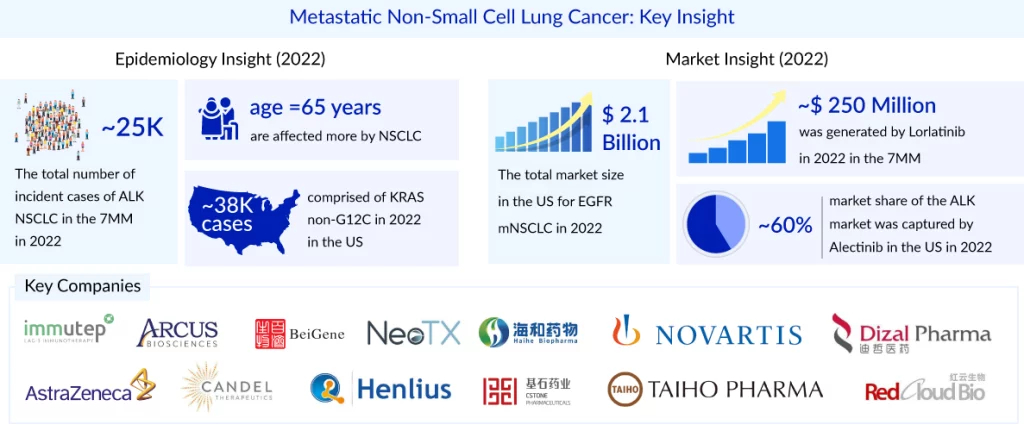 Metastatic Non Small Cell Lung Cancer Key Insight