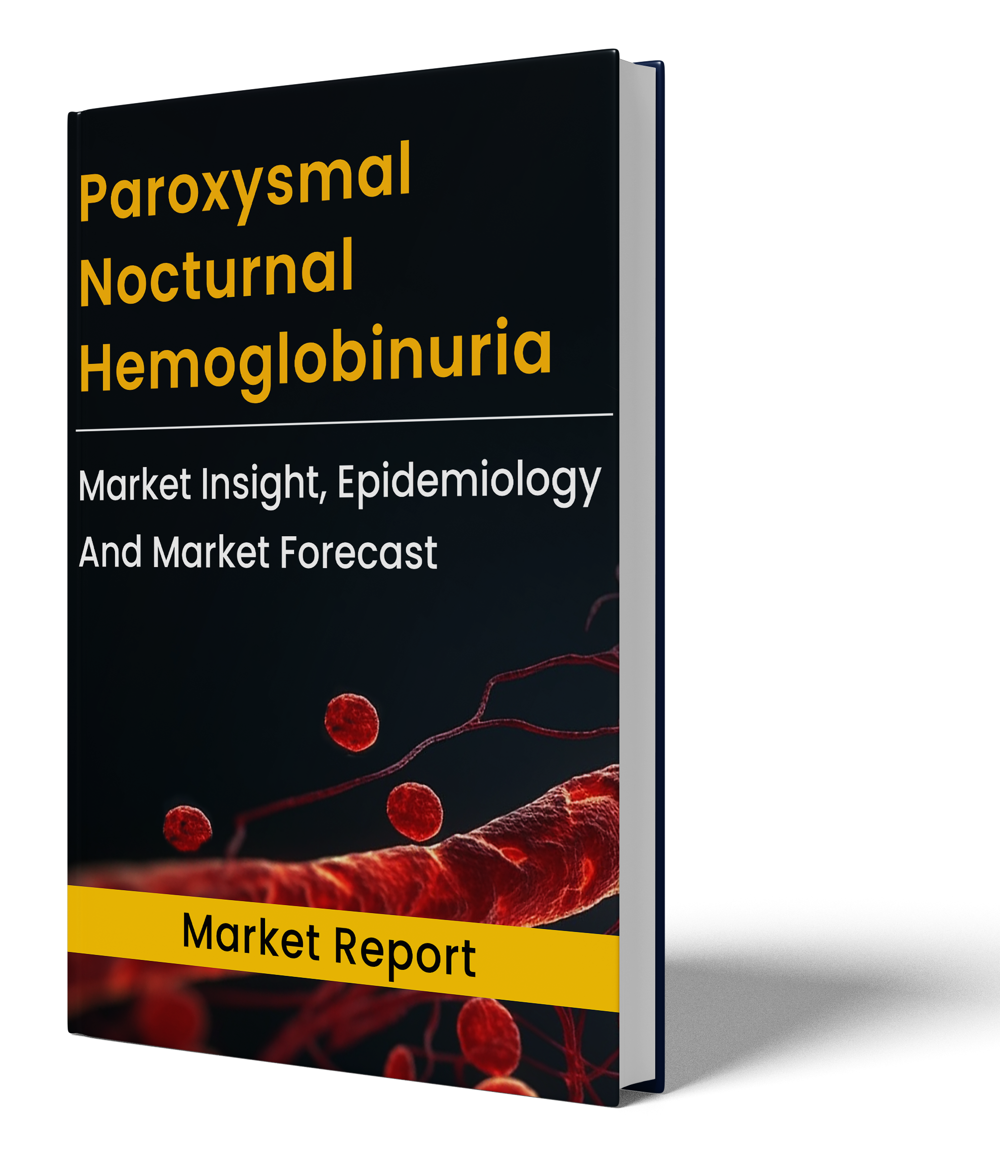 Paroxysmal Nocturnal Hemoglobinuria Market Report