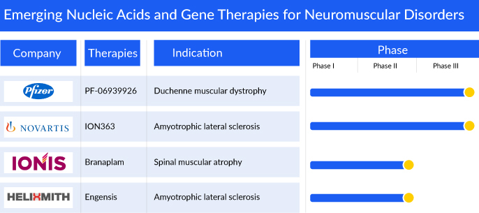 Emerging Nucleic Acids and Gene Therapies for Neuromuscular Disorders
