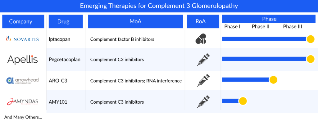 Emerging Therapies for Complement 3 Glomerulopathy