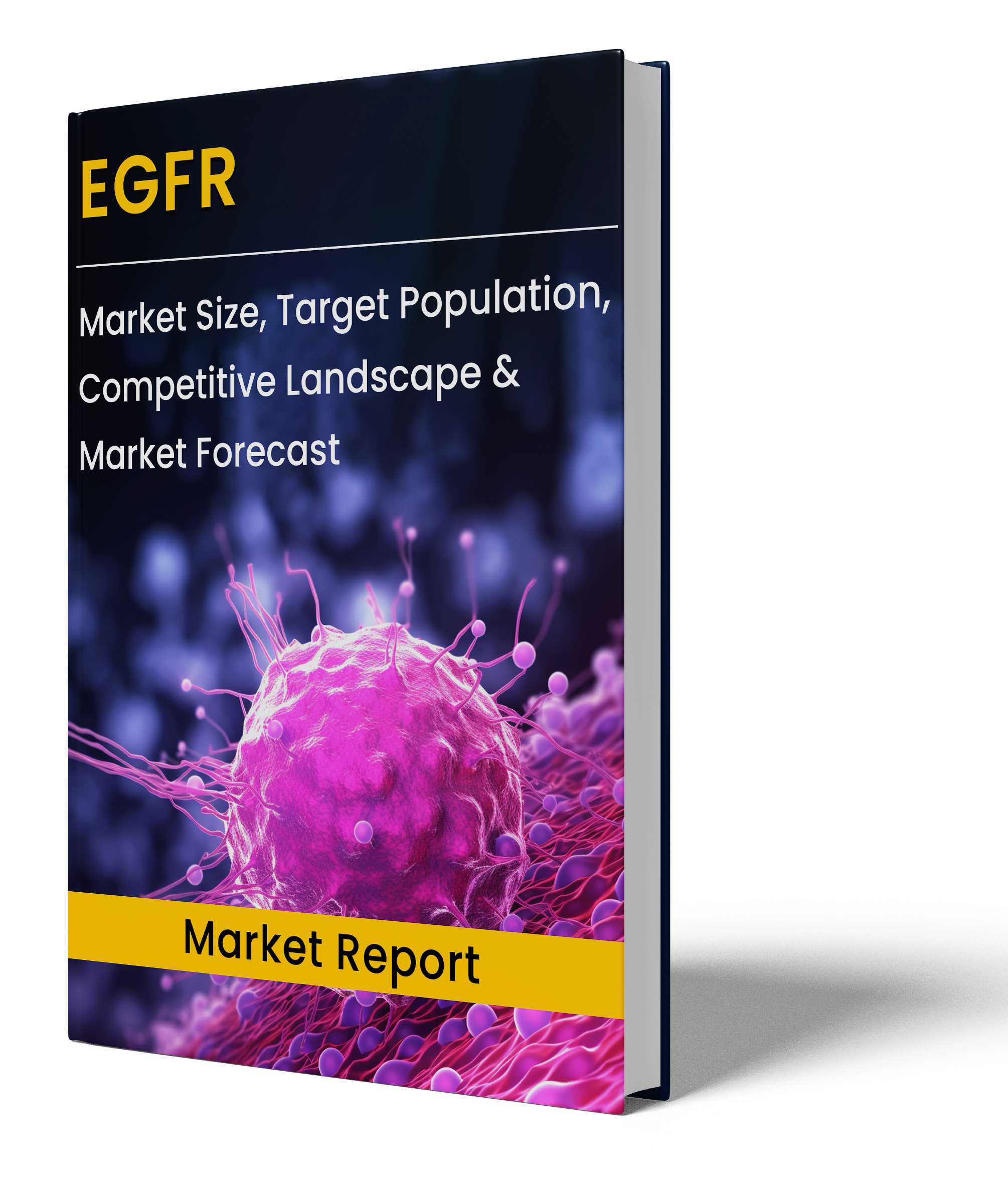 EGFR Market Report