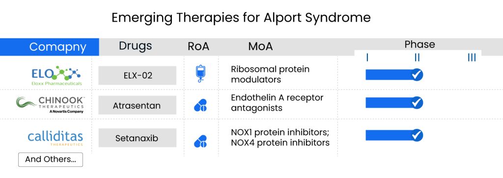 Emerging Therapies for Alport Syndrome
