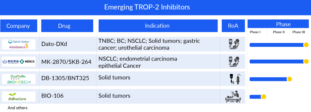 Emerging TROP-2 Inhibitors