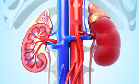 emerging-therapies-for-nephrotic-syndrome-treatment