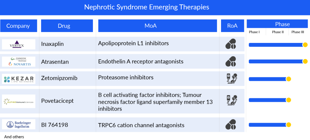 Nephrotic Syndrome Emerging Therapies