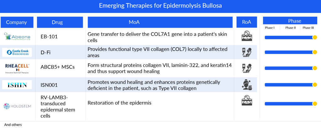 Emerging Therapies for Epidermolysis Bullosa