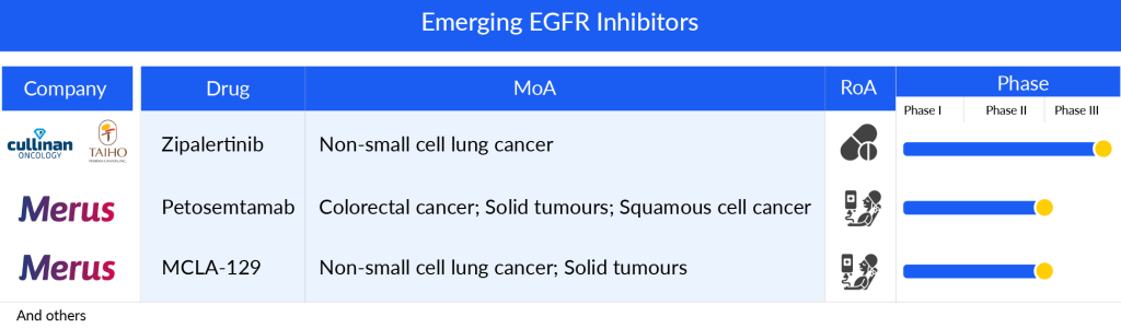 Emerging EGFR Inhibitors