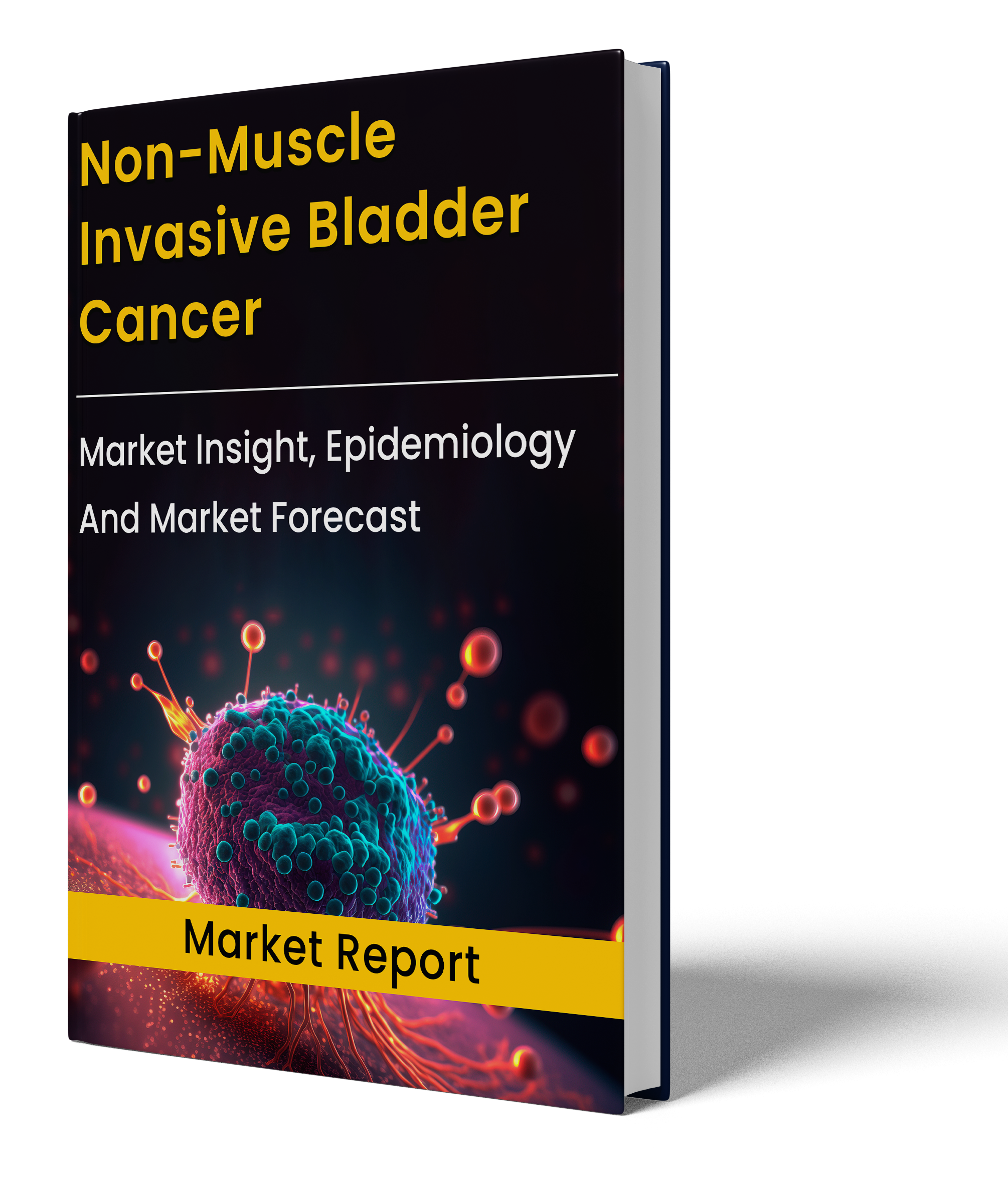 Non-Muscle Invasive Bladder Cancer Market Report