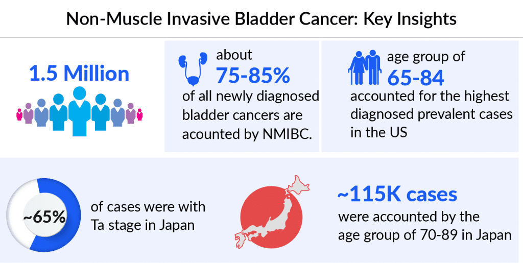 Non-Muscle Invasive Bladder Cancer Key Insights