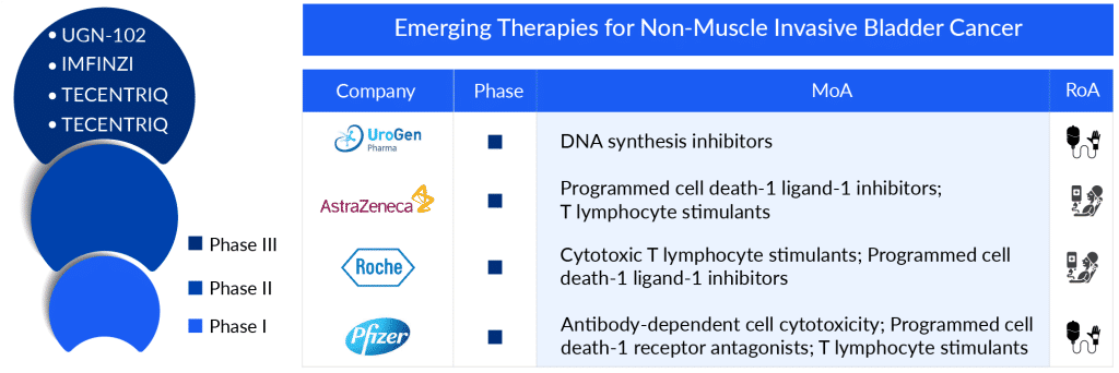 Emerging Therapies for Non-Muscle Invasive Bladder Cancer