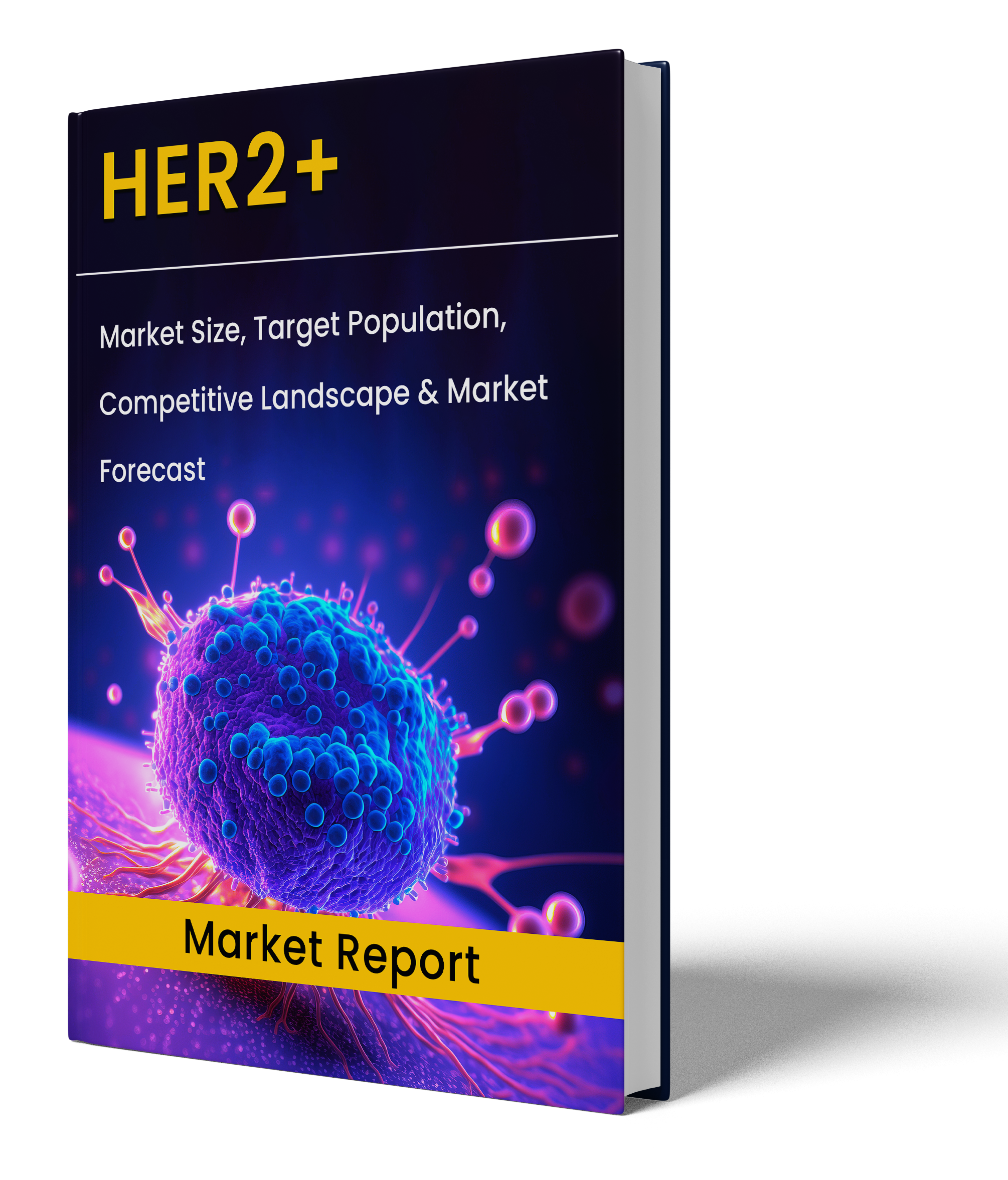 HER2+ Market Report