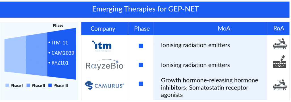 Emerging Therapies for GEP-NET