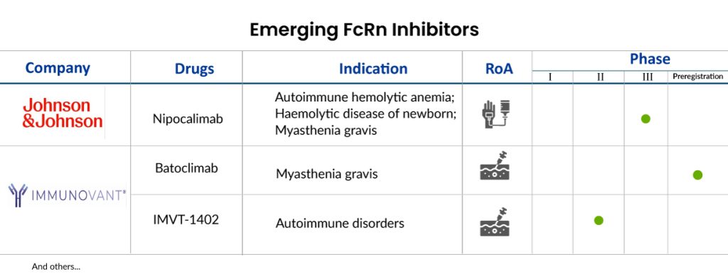 Emerging FcRn Inhibitors