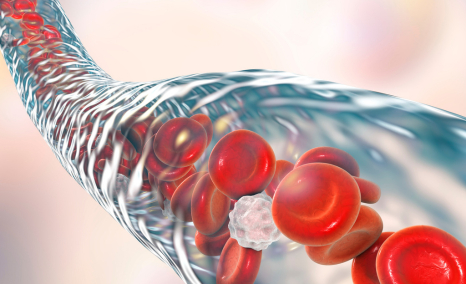 insights-into-artificial-blood-vessels