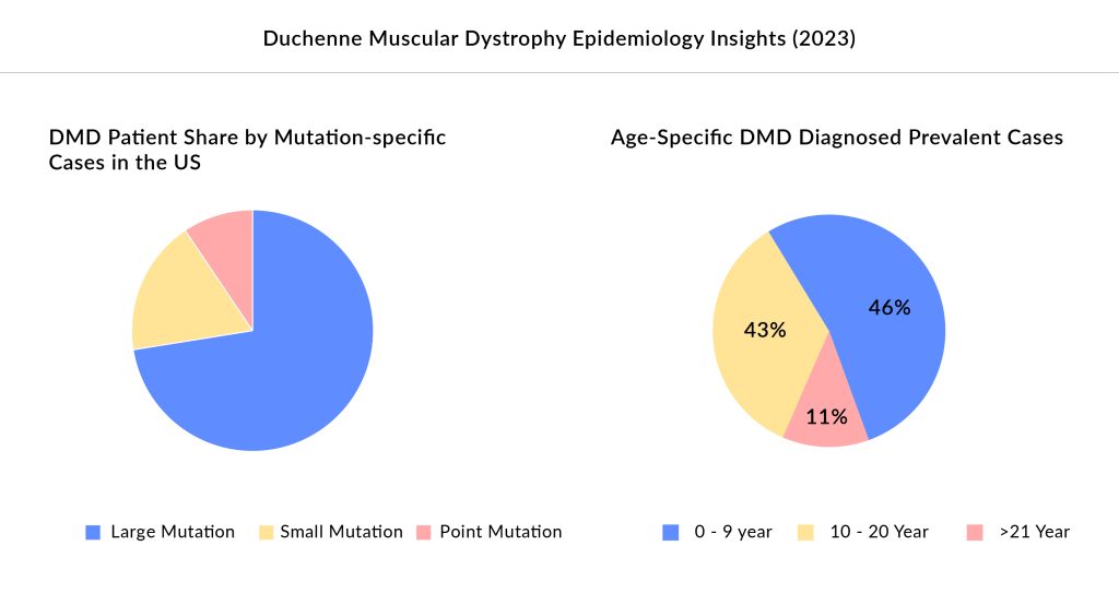 Duchenne Muscular Dystrophy Epidemiology Insights in 2023