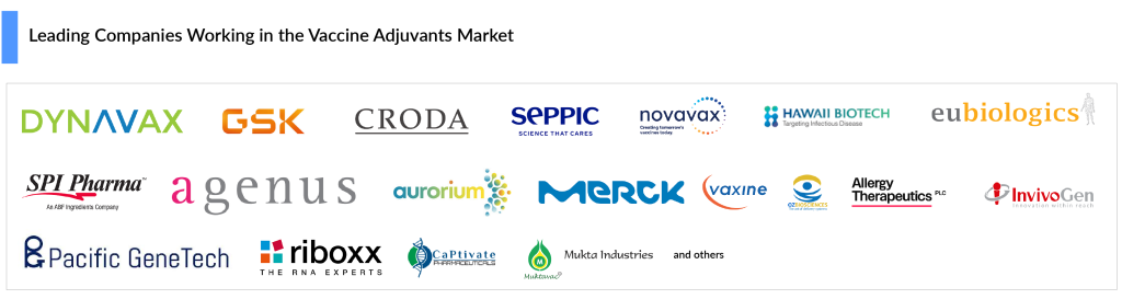 Leading Companies Working in the Vaccine Adjuvants Market