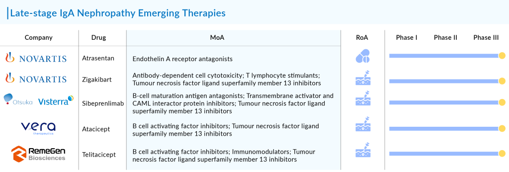 Late-stage IgA Nephropathy Emerging Therapies