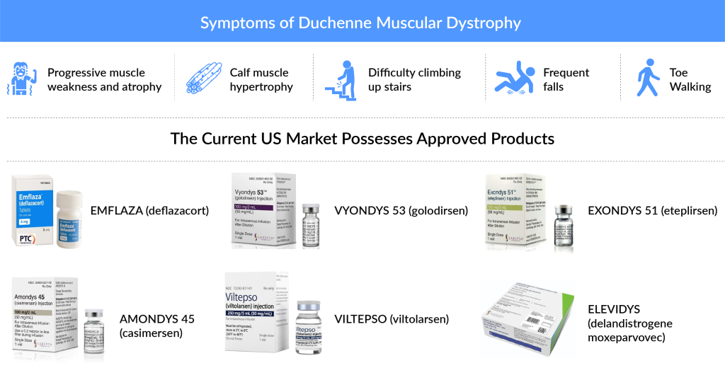 Symptoms of Duchenne Muscular Dystrophy