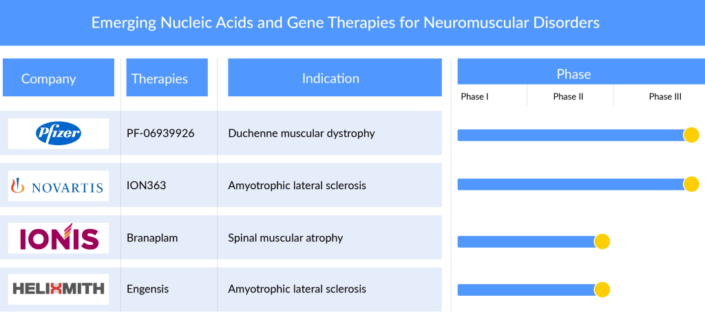 Emerging Nucleic Acids and Gene Therapies for Neuromuscular Disorders