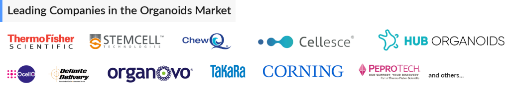 Leading Companies in the Organoids Market