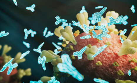 7-key-companies-developing-trispecific-antibodies