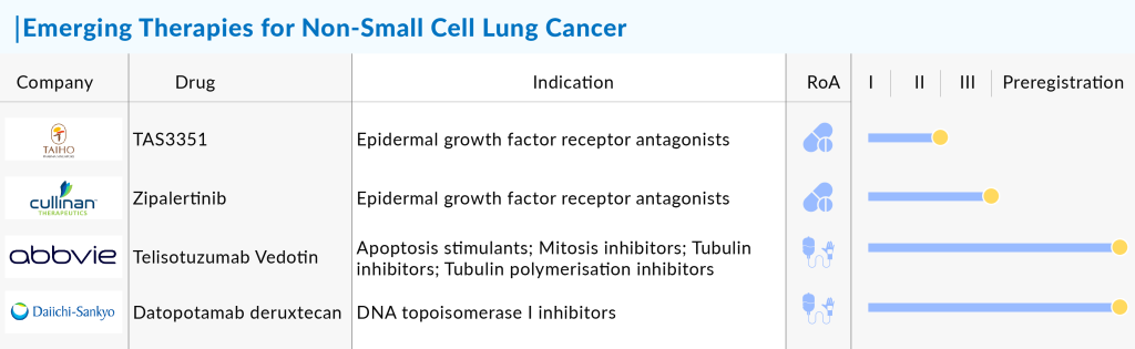 Key Players Working in the Non-Small Cell Lung Cancer Treatment Market