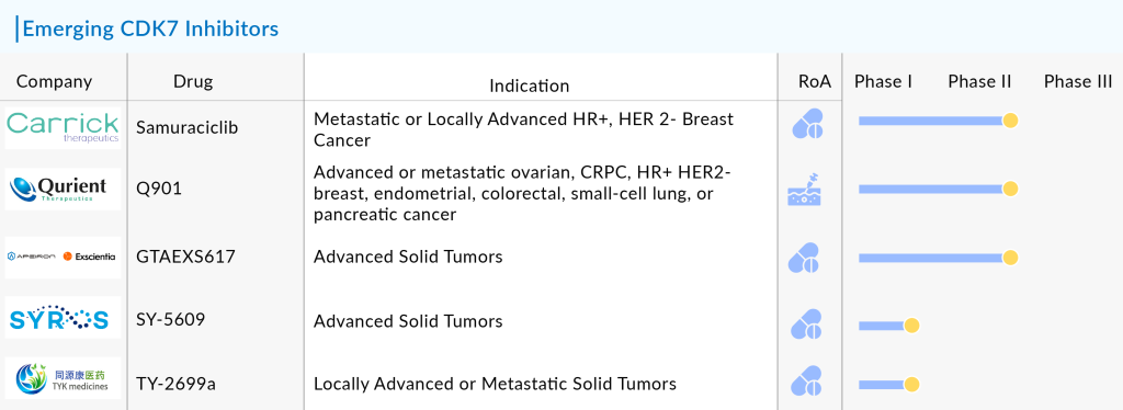 Emerging-CDK7-Inhibitors