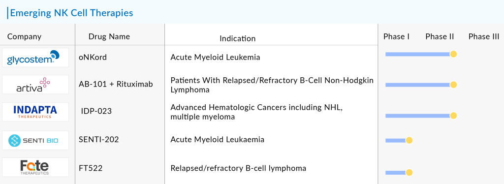 Emerging NK Cell Therapies