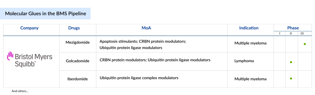 Molecular-Glues-in-the-BMS-Pipeline