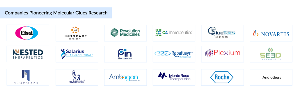 Companies-Pioneering-Molecular-Glues-Research