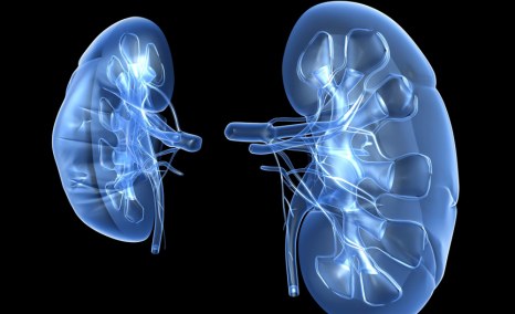 Breakthrough Therapies Shaping the Future of Acute Kidney Injury Treatment