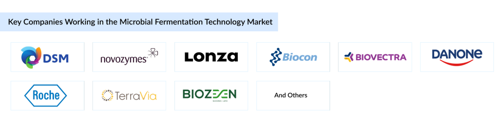 Key-Companies-Working-in-the-Microbial-Fermentation-Technology-Market