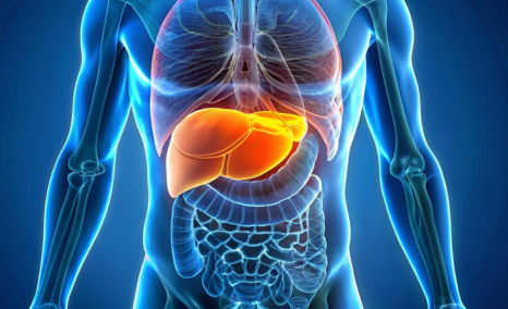 metabolic-associated-steatohepatitis-treatment-landscape