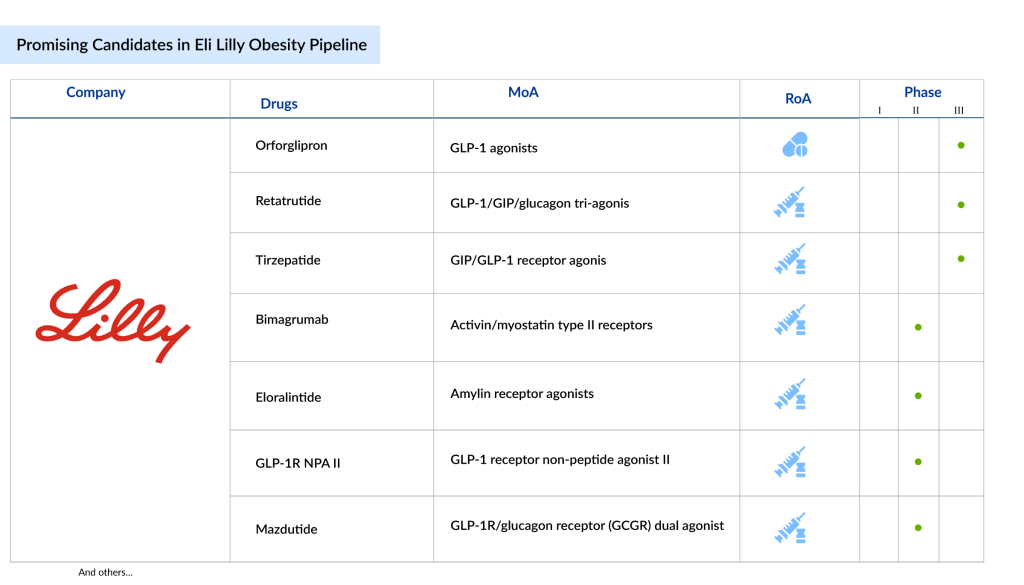 Promising-Candidates-in-Eli-Lilly-Obesity-Pipeline