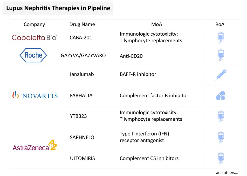 Lupus Nephritis Therapies in Pipeline