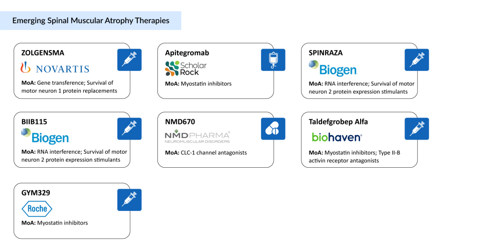 Emerging Spinal Muscular Atrophy Therapies