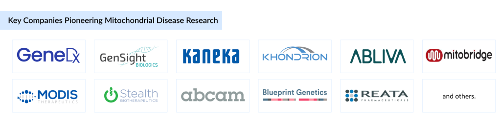 Key-Companies-Pioneering-Mitochondrial-Disease-Research