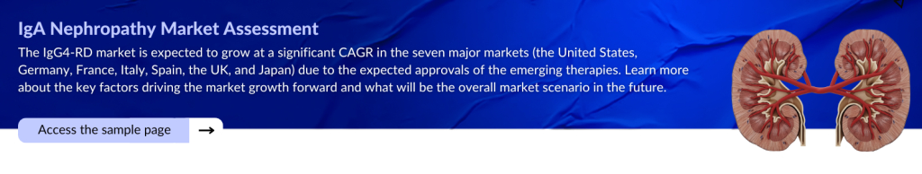 IgA Nephropathy Market Assessment