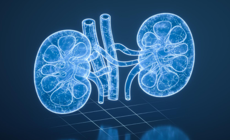 iga-nephropathy-treatment-landscape