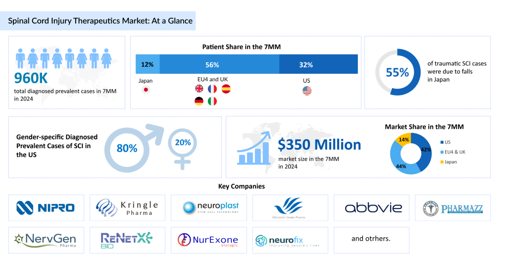 Spinal-Cord-Injury-Therapeutics-Market-At-a-Glance