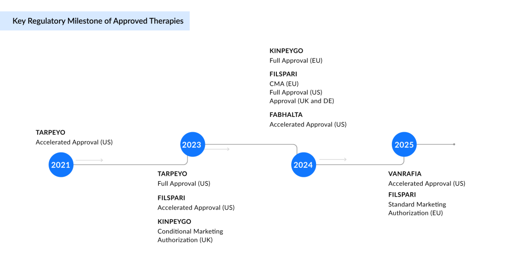 Key-Regulatory-Milestone-of-Approved-Therapies