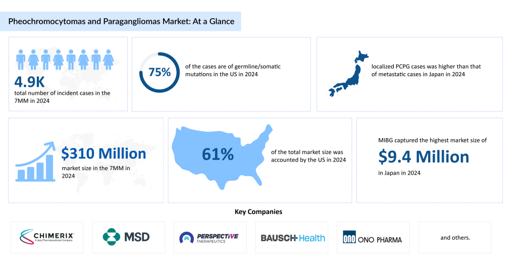 Pheochromocytomas-and-Paragangliomas-Market-At-a-Glance