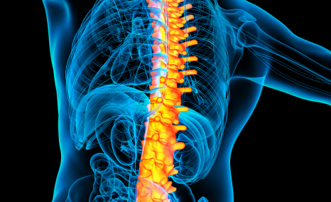 almb-0166-phase-i-ii-first-in-human-clinical-data