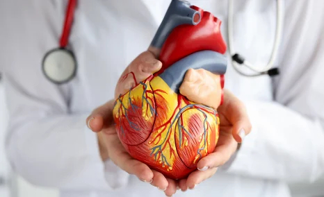 cardiovascular-deals-2025