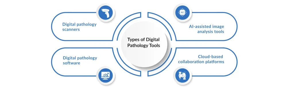 Types-of-Digital-Pathology-Tools