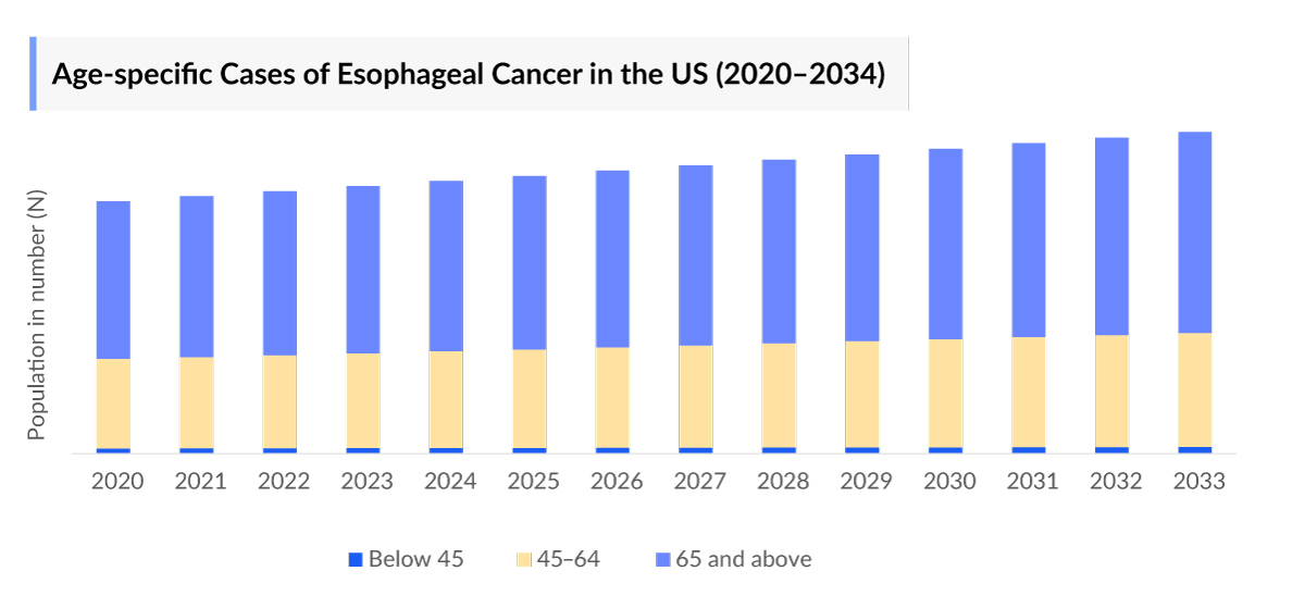 Age-specific Cases of Esophageal Cancer in the US (2020–2034)