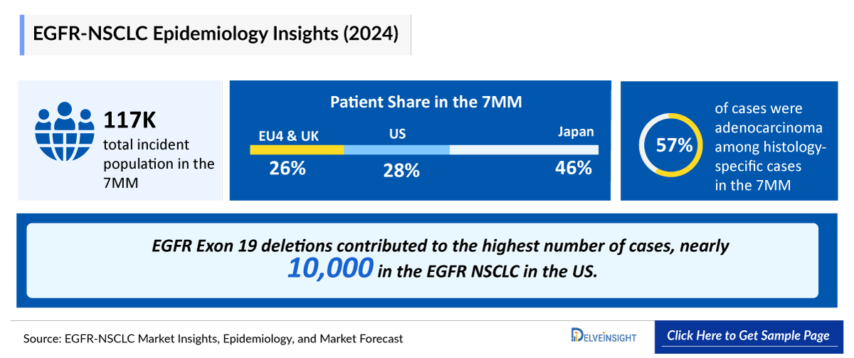 Epidermal Growth Factor Receptor Non-small Cell Lung Cancer Epidemiology