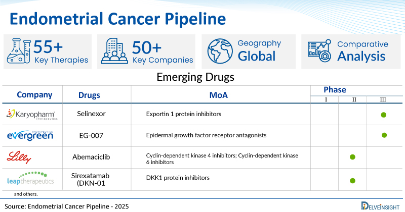 Endometrial Cancer Pipeline